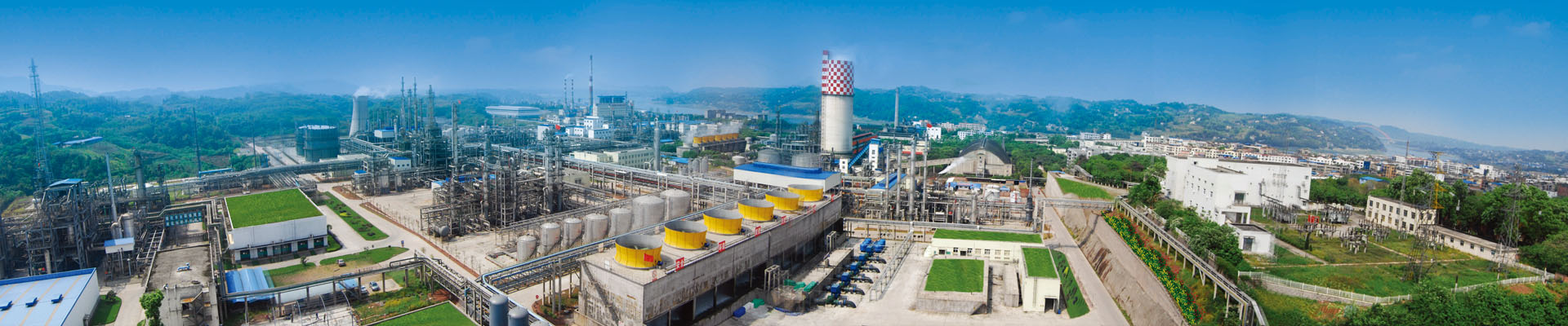 尊龙凯时集团党的建设